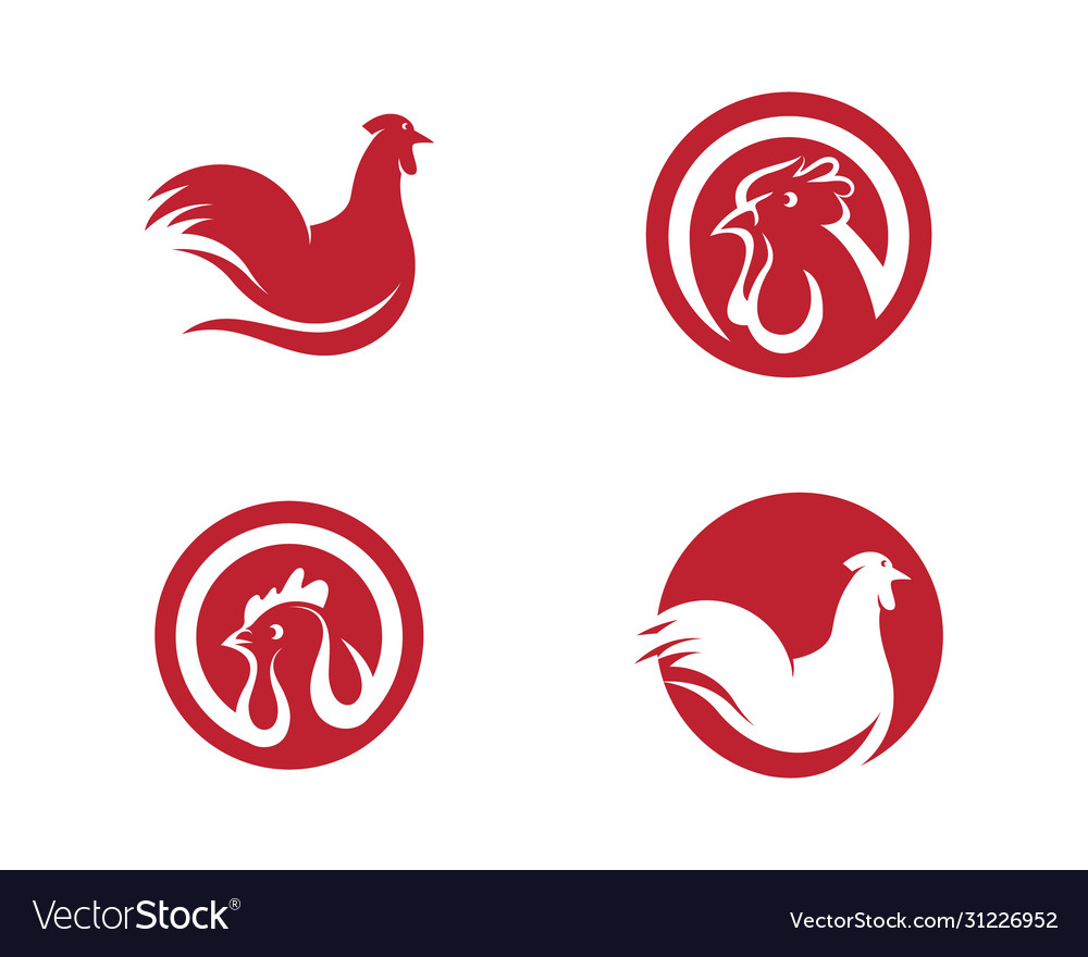 Chicken icon design vector image Chicken icon design