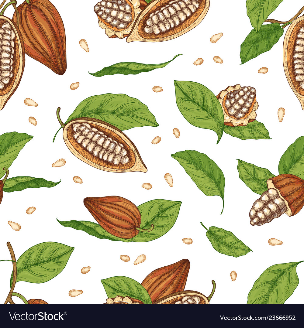 Cocoa Pod Pattern - Natural & Elegant