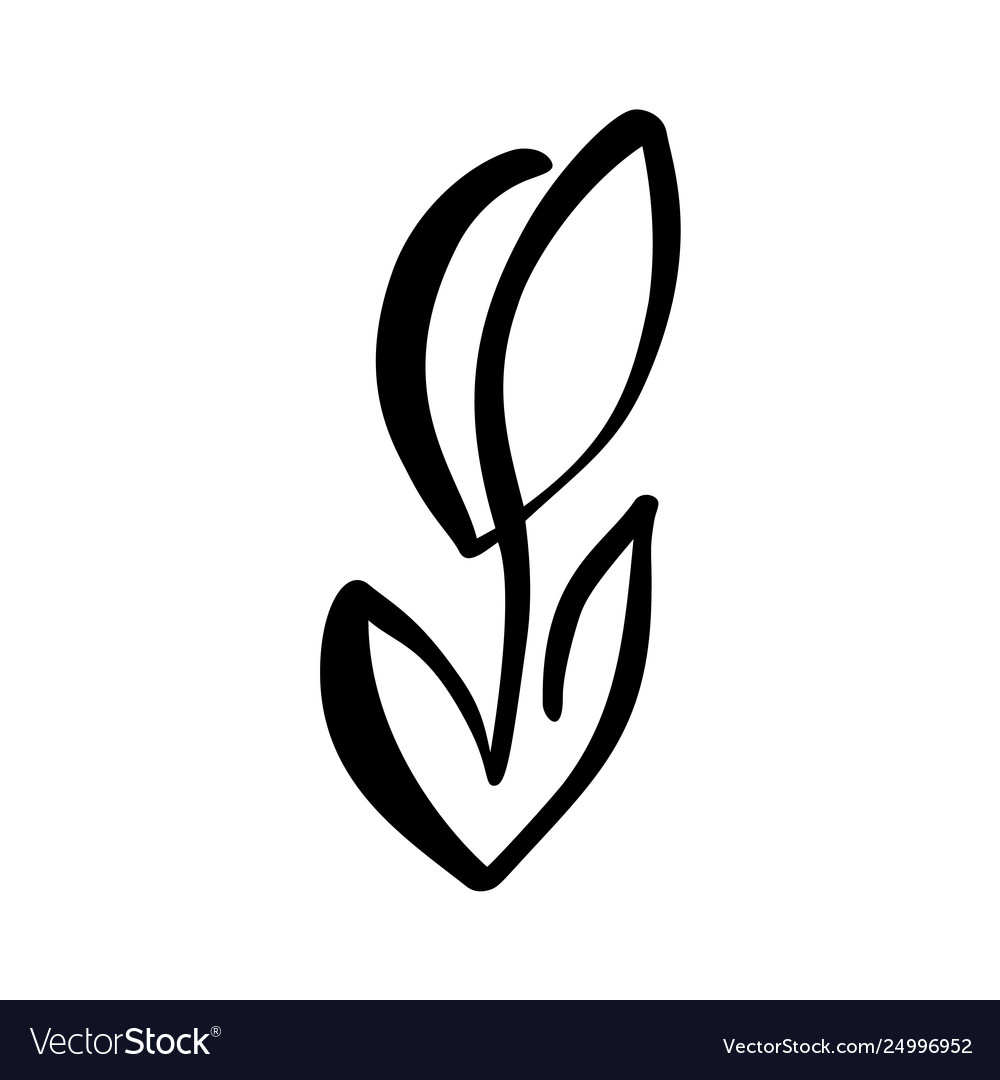 Continuous line hand drawing calligraphic Vector Image Continuous line hand drawing calligraphic