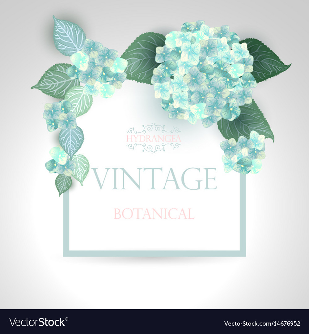 Floral wedding card with blooming hydrangea