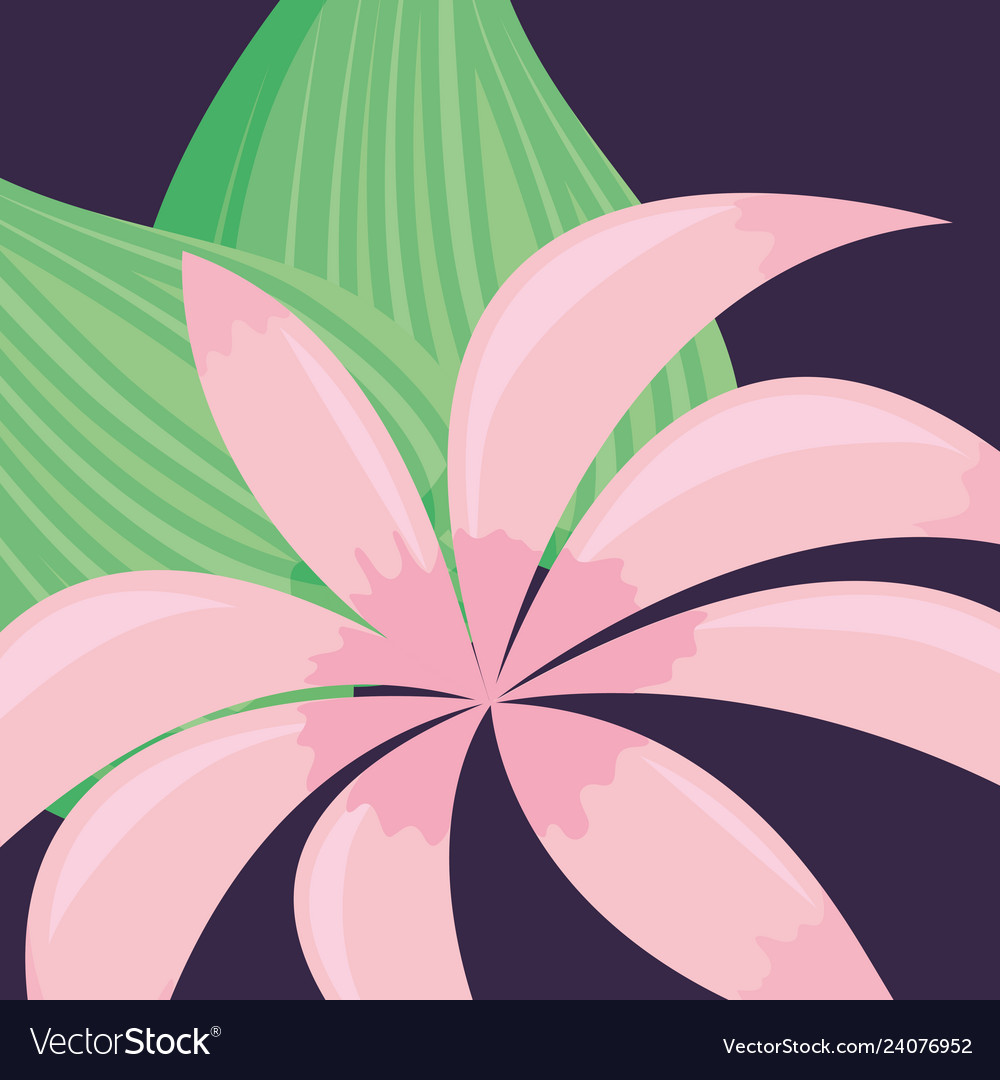 Tropical flowers design