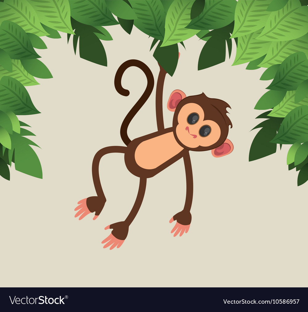 rainforest monkey clipart