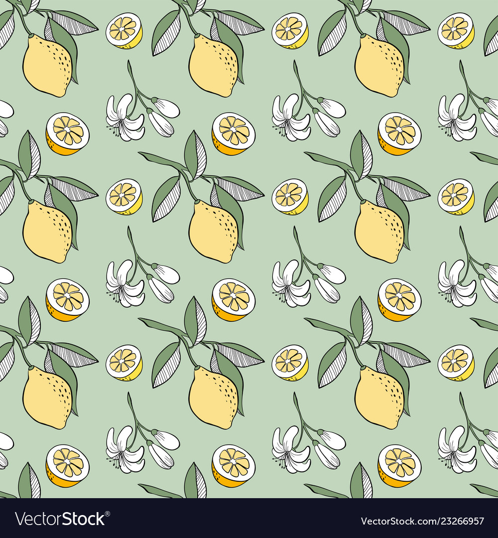 Sketched lemon seamless pattern
