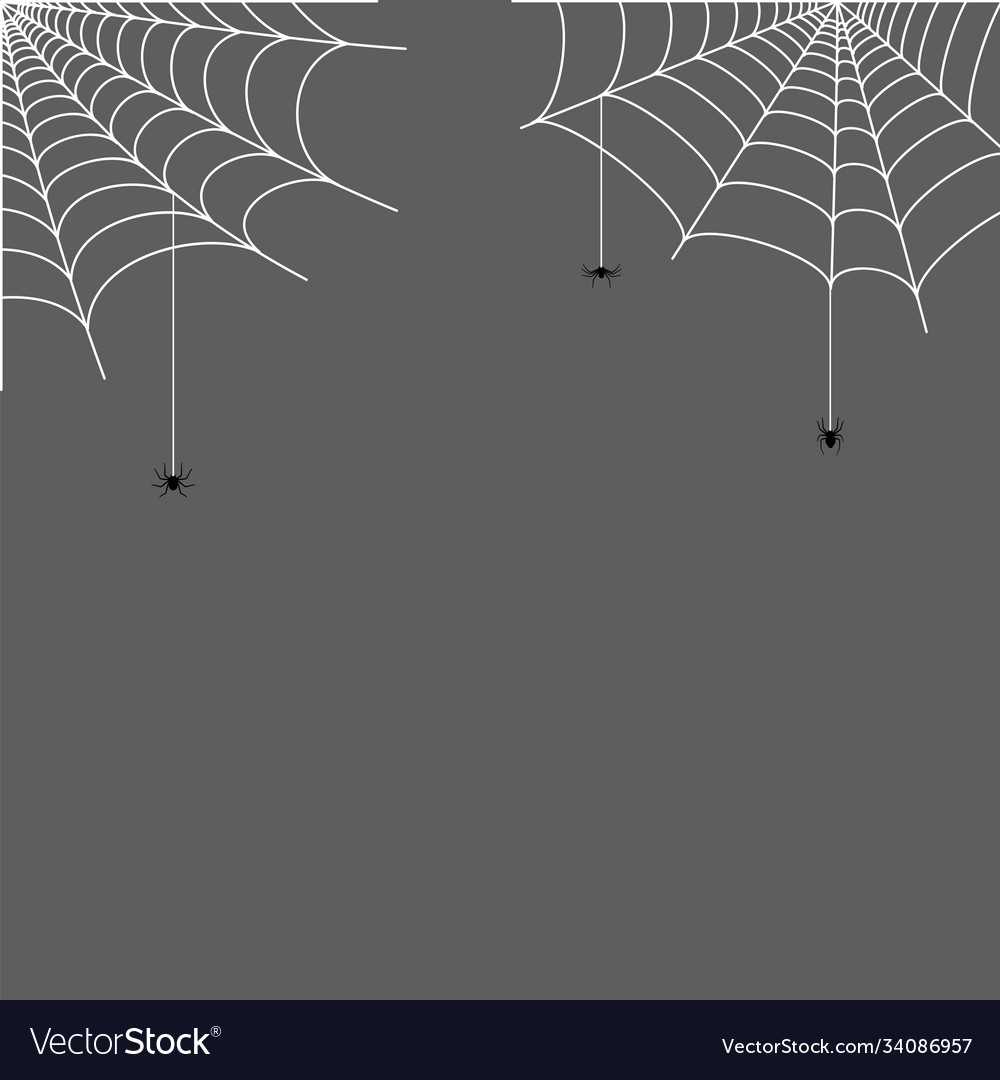 Spider web concept