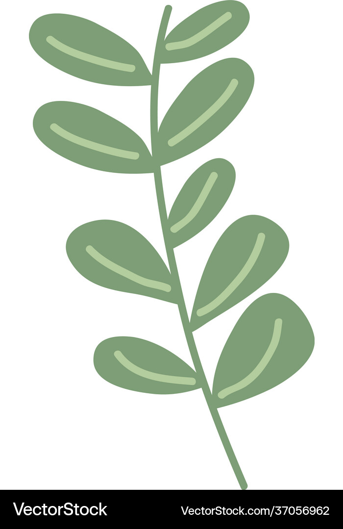 Branch with leafs Royalty Free Vector Image - VectorStock