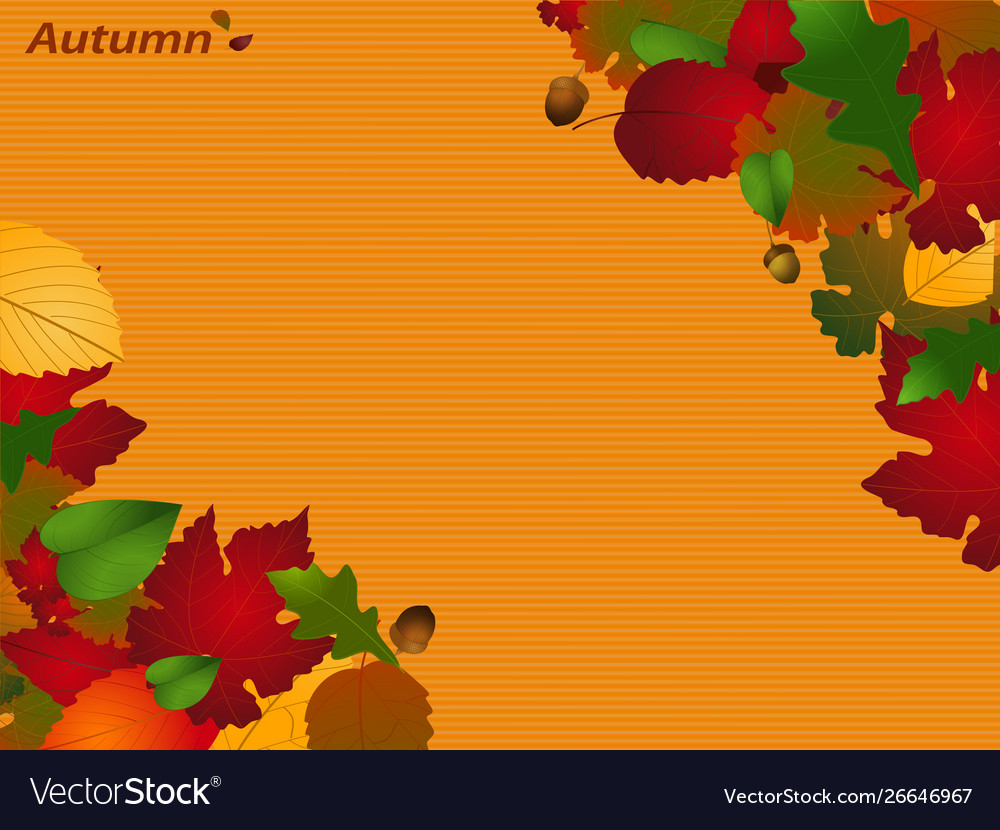 Autumn paper background with text and leafs