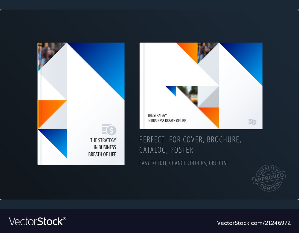 Brochure design triangular template colourful vector image Brochure design triangular template colourful