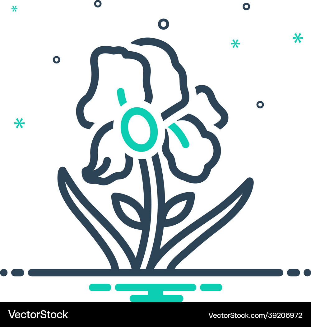 Iris flowers Royalty Free Vector Image - VectorStock
