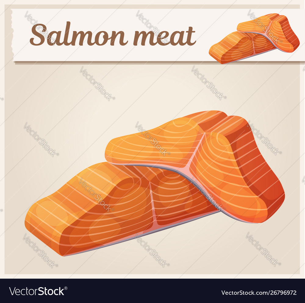 Salmon Meat Icon Cartoon Royalty Free Vector Image