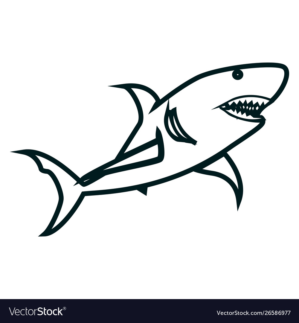 Download Shark line art shark simple outline design Vector Image