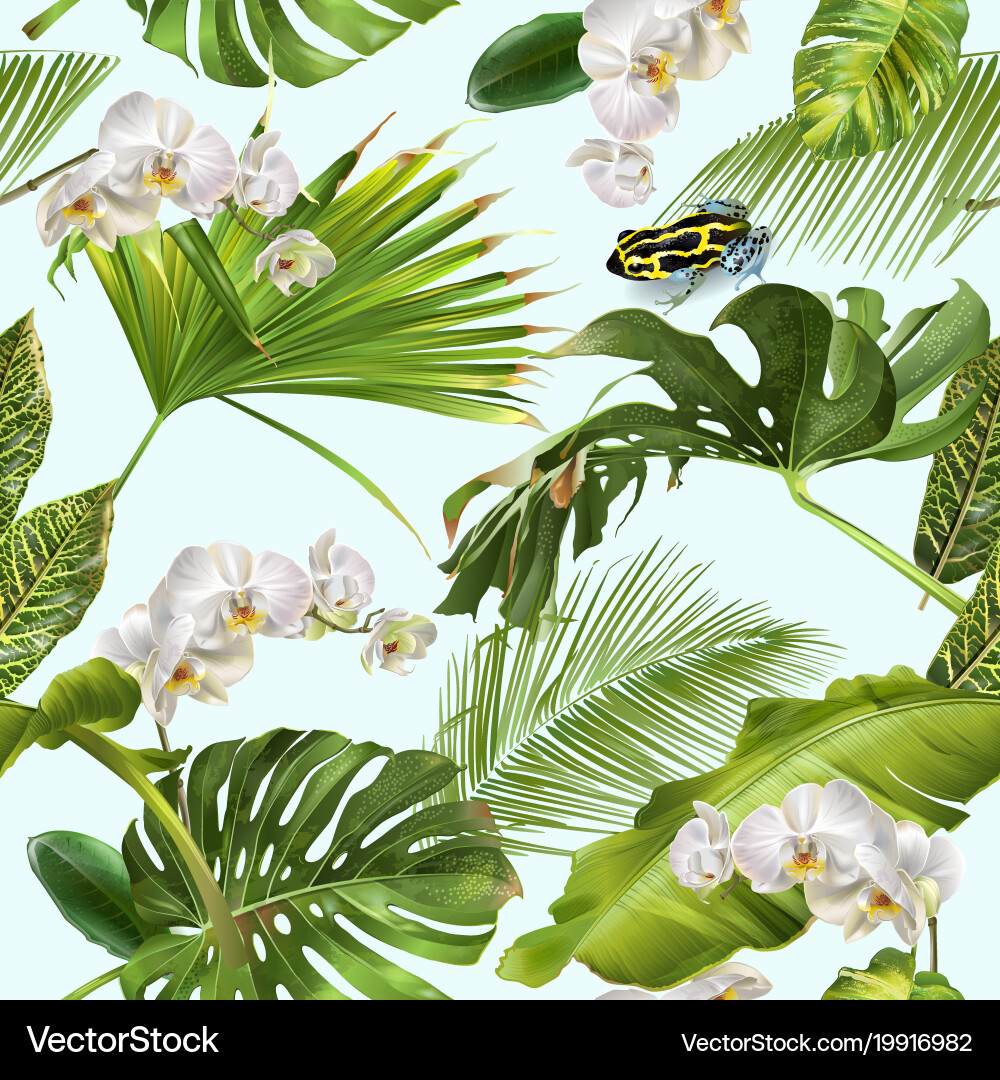 Tropical orchid frog pattern Royalty Free Vector Image