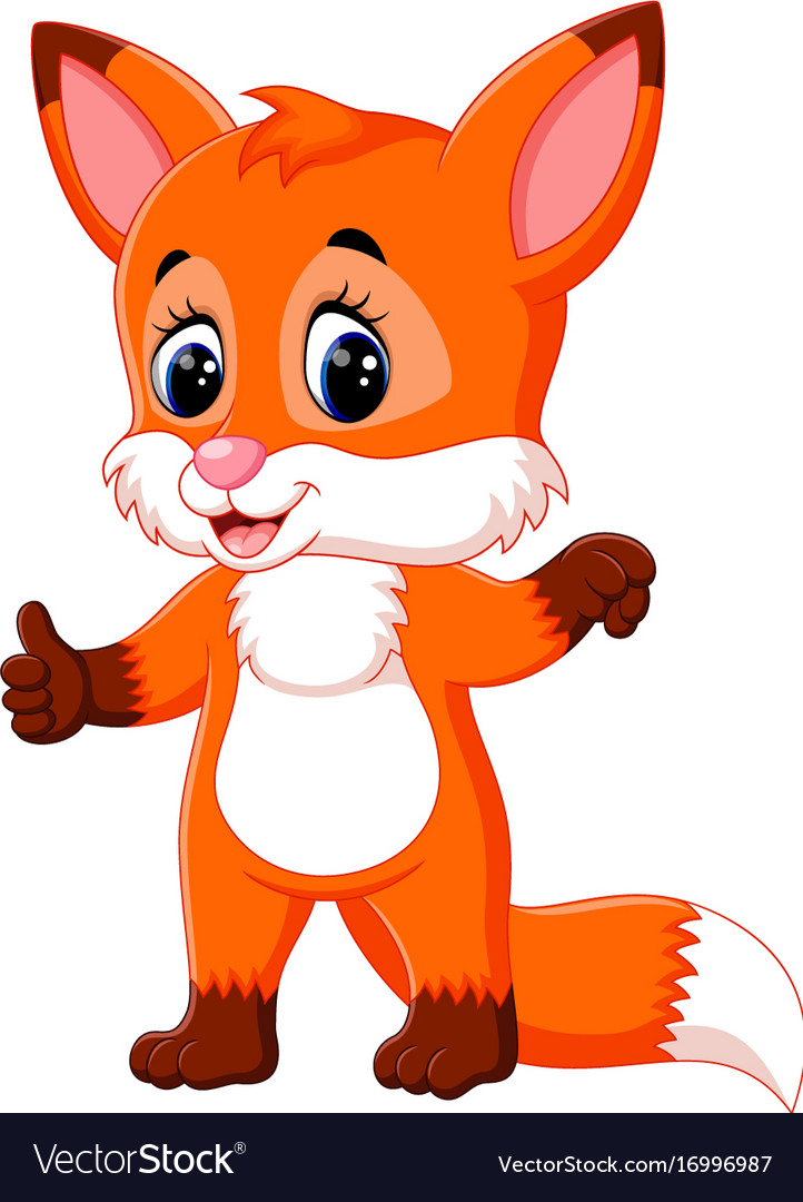 Cute fox cartoon