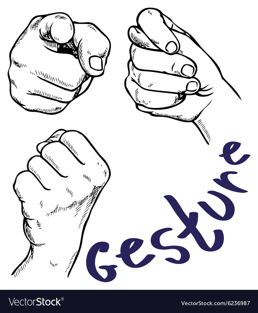Hand Gestures - Diverse Expressions