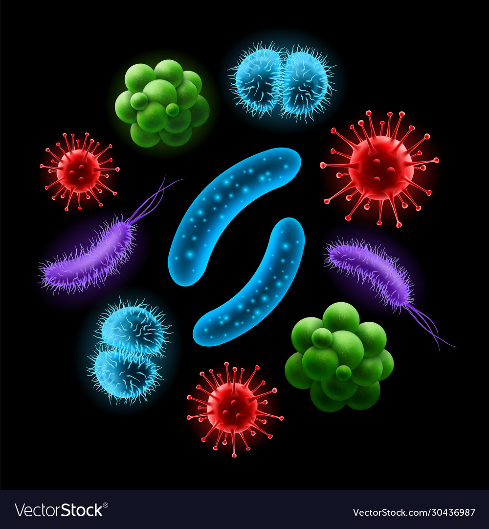 Set Realistic Virus Probiotic Bacteria Cells Vector Image