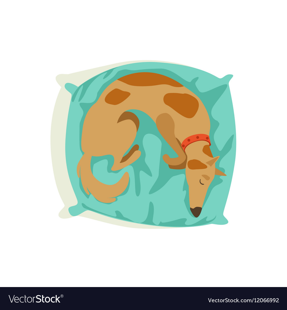 Brown Pet Dog Sleeping On Pillow Animal Emotion Vector Image