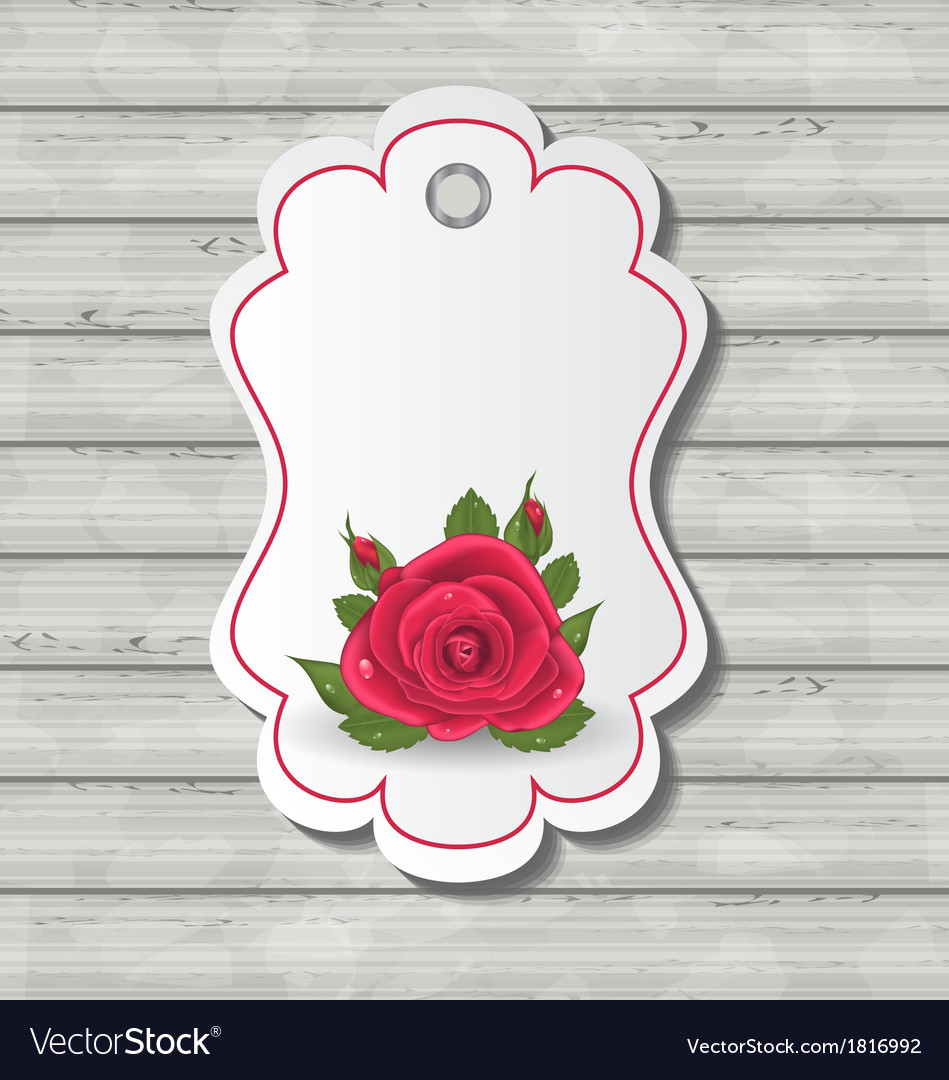 Elegant card with red rose for valentine day