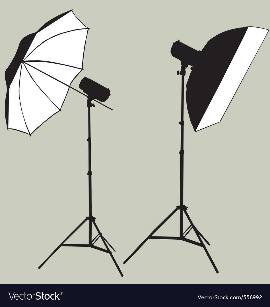 Download Photographic flash studio lighting silhouette Vector Image