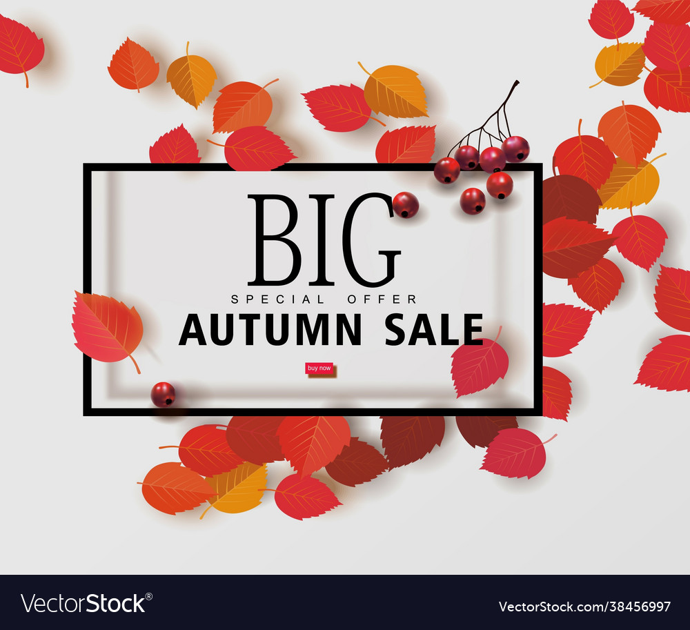 Herbst Verkauf Hintergrund Vorlage Layouts Vector Image Herbst Verkauf Hintergrund Vorlage Layouts
