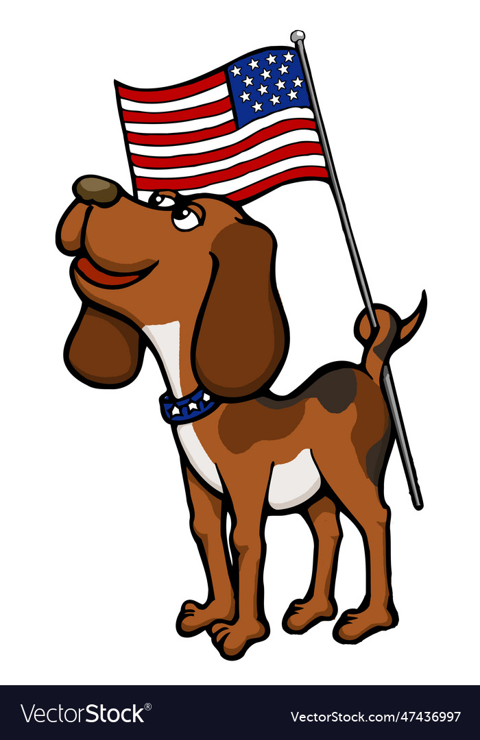 Patriotic Beagledog Holding Flag With Tail Vector Image