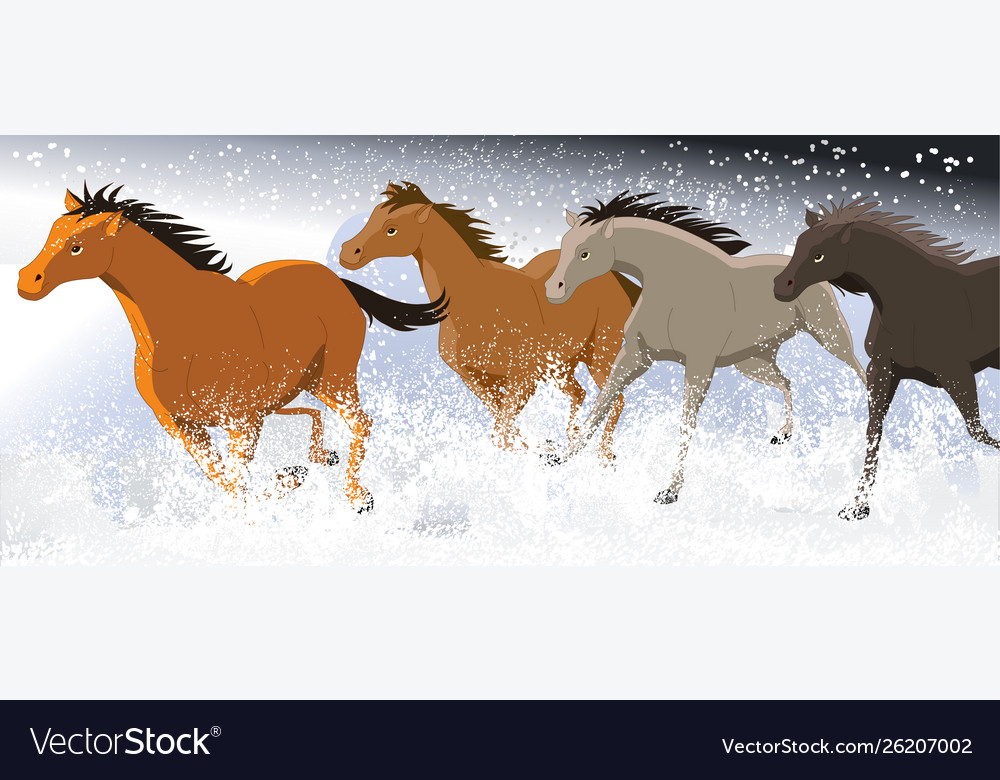 Running horses in snow field