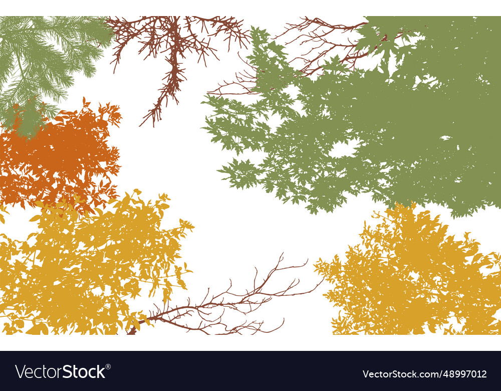 Autumn frame of deciduous branches trees