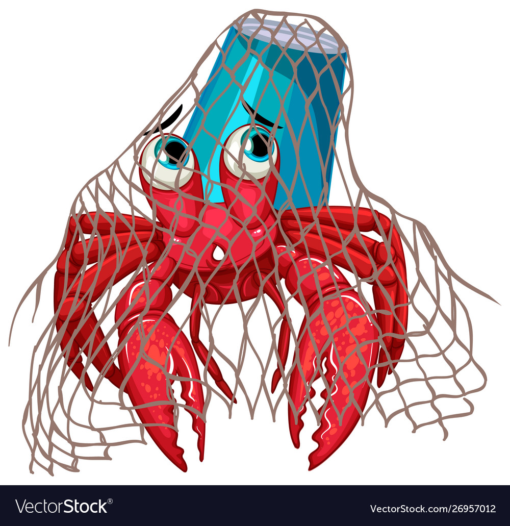 Hermit crab in net on white background Royalty Free Vector