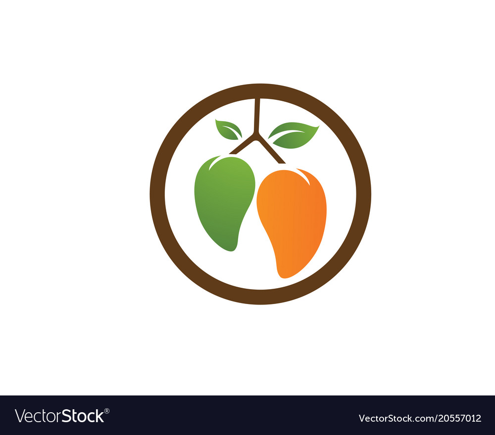 Mango Logo Icon Template Royalty Free Vector Image Mango Logo Icon Template Vector Image