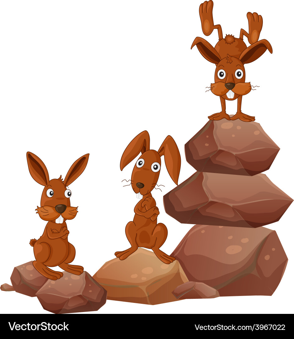 Rabbits Royalty Free Vector Image - VectorStock