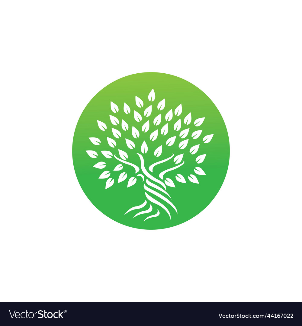 Tree logo Royalty Free Vector Image - VectorStock