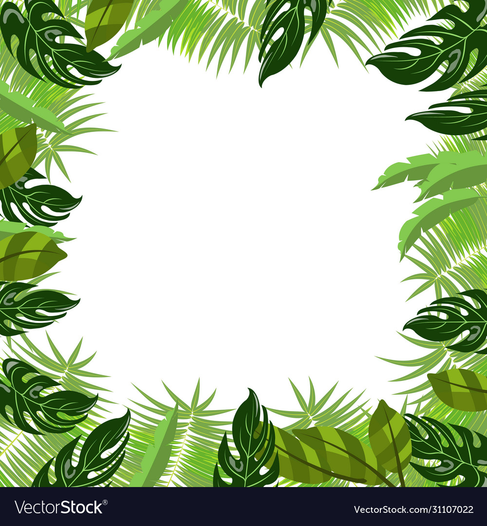 Trendy tropical leaves nature poster Royalty Free Vector