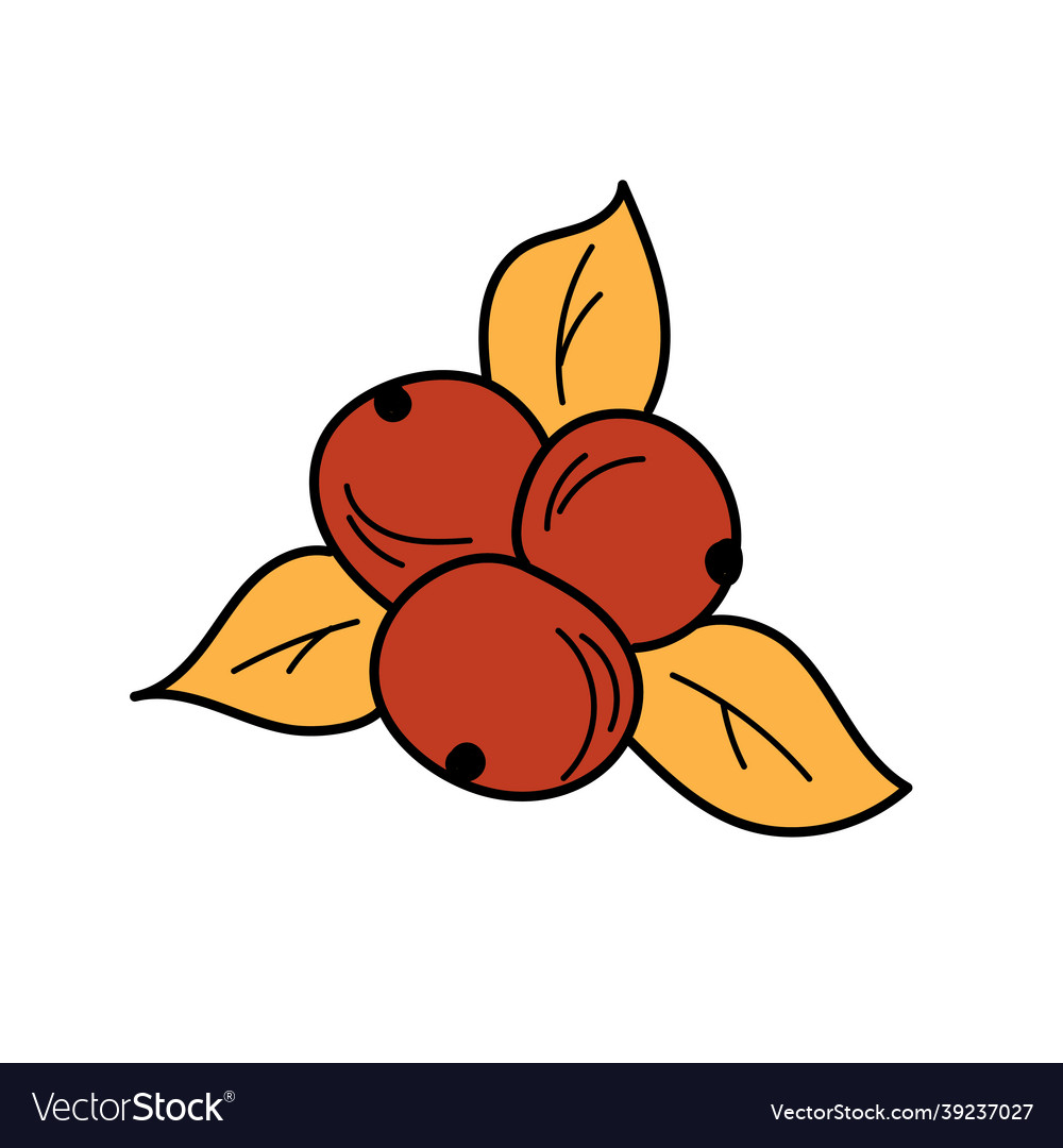Autumn element - in simple style red berries