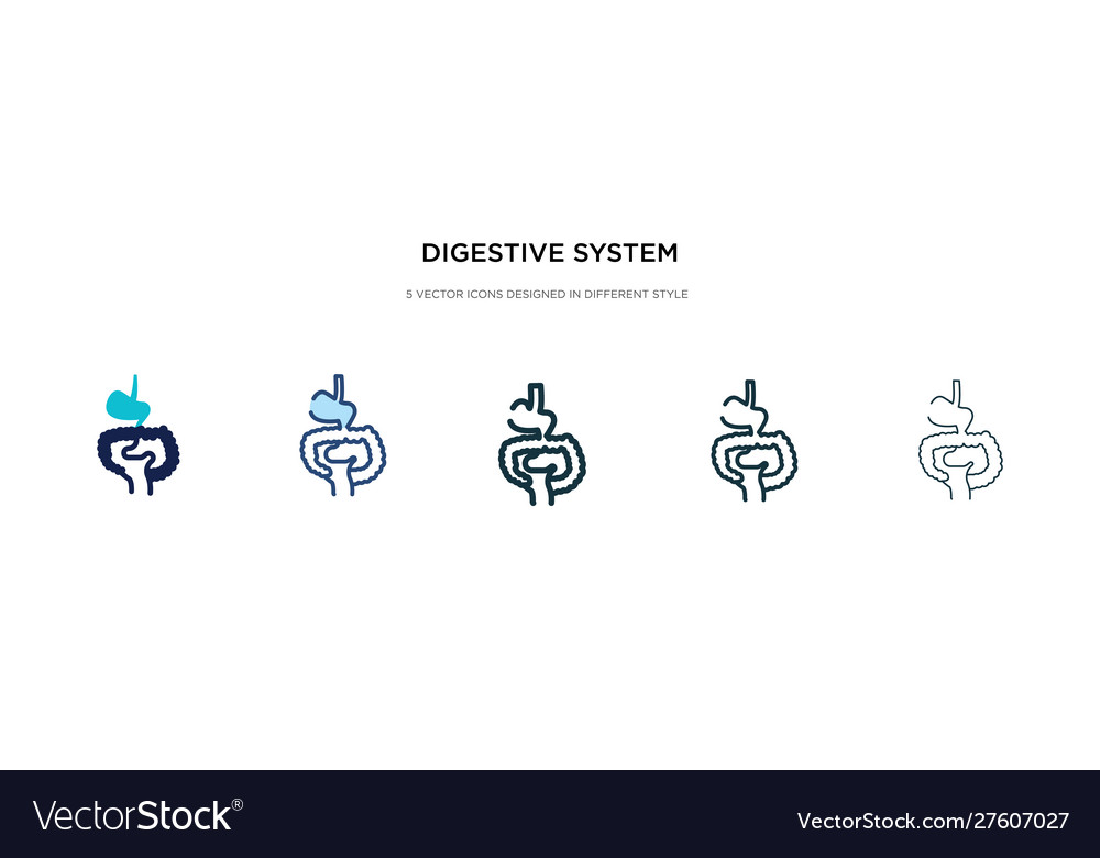 Digestive system icon in different style two vector image Digestive system icon in different style two