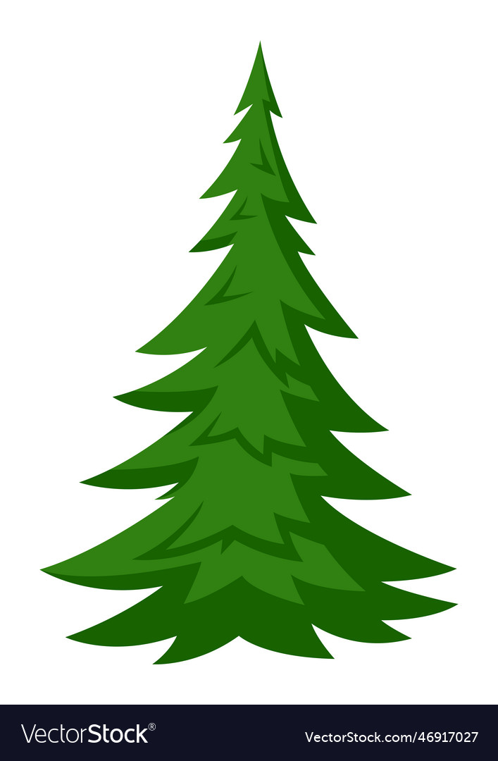 Fir tree forest or park landscape Royalty Free Vector Image