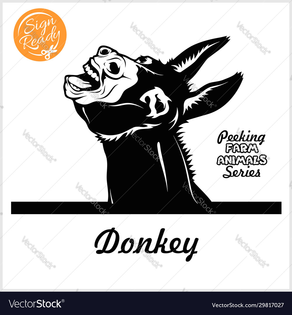 Peeking donkey - cheerful neighing donkey peeking Vector Image