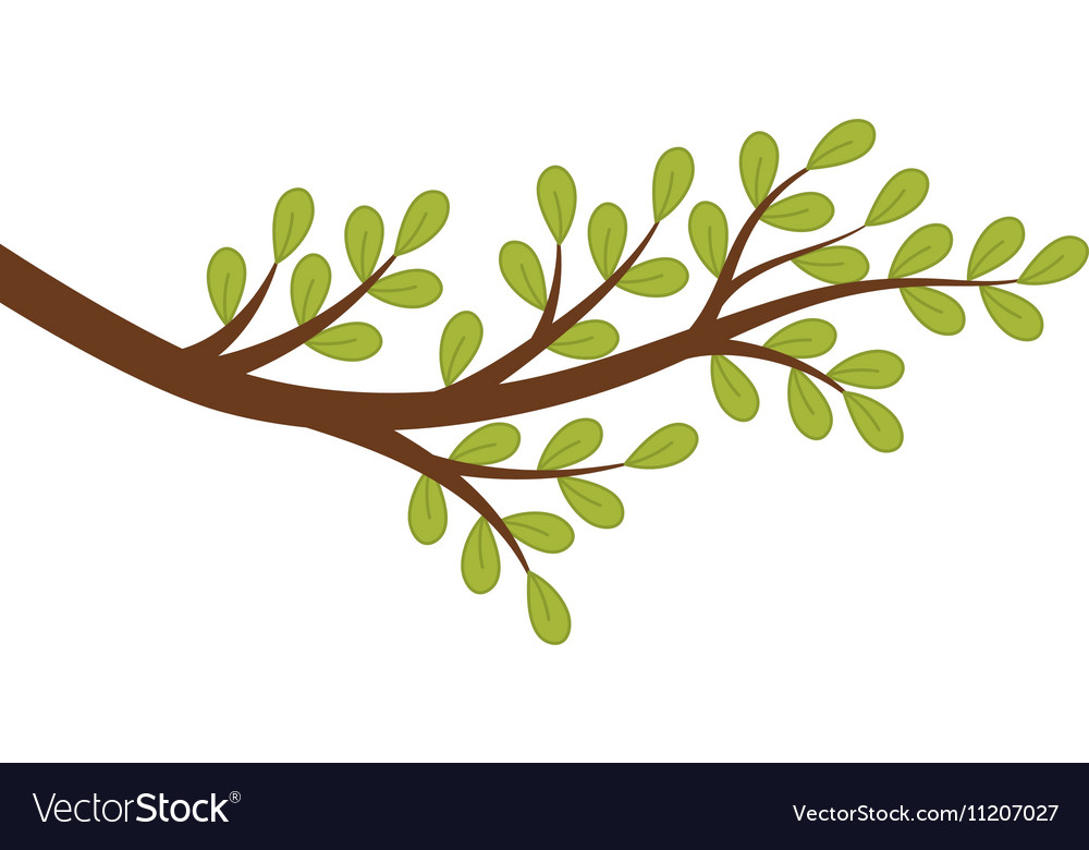 Tree branch Royalty Free Vector Image VectorStock