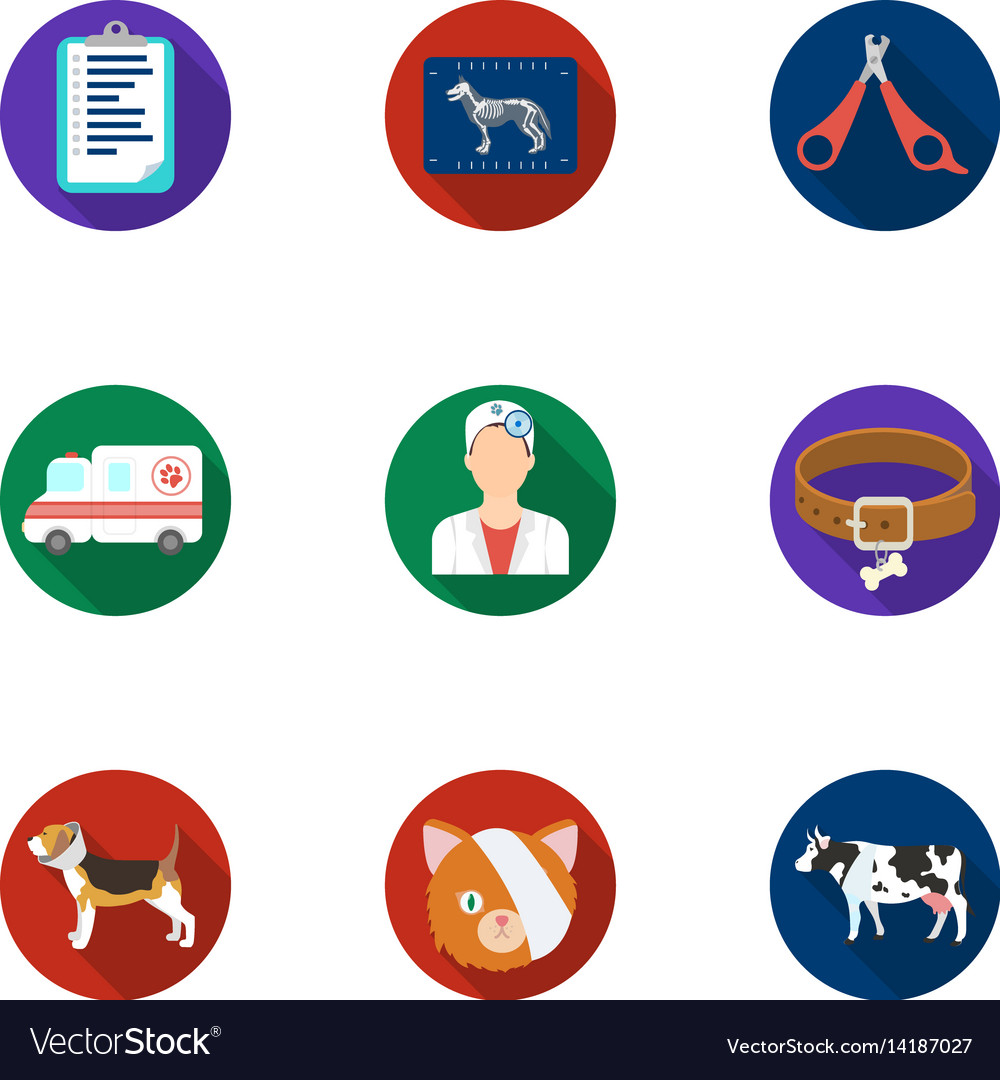 Vet clinic treatment of sick animals hospital Vector Image Vet clinic treatment of sick animals hospital Vector Image