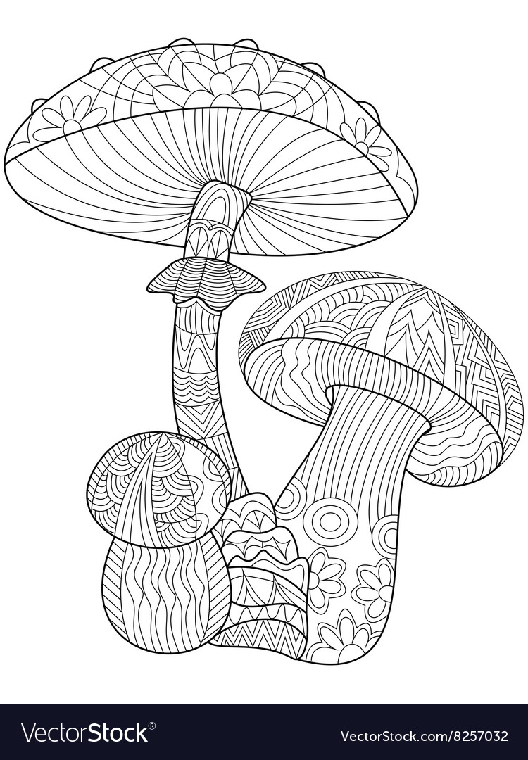 Mushroom Coloring For Adults Royalty Free Vector Image