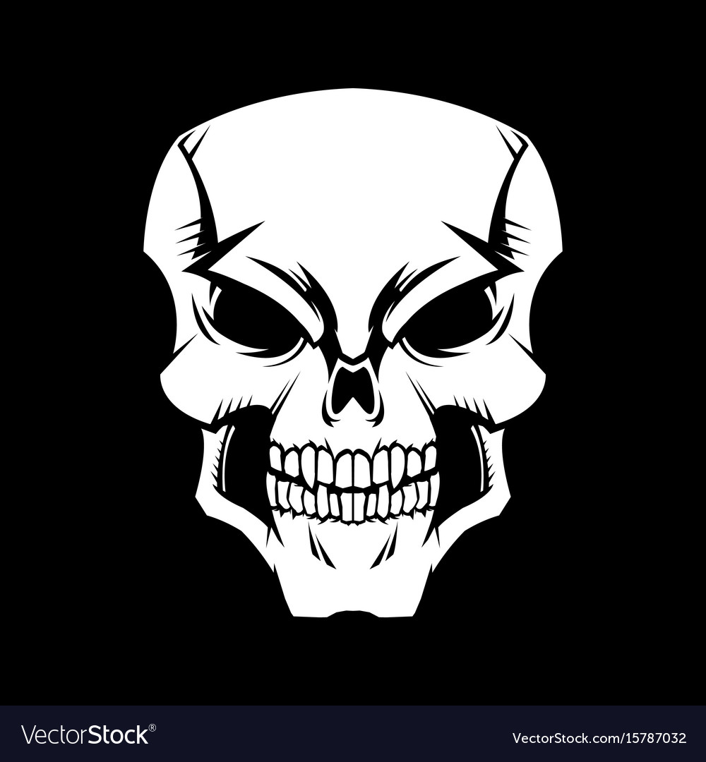 Skull graphic Royalty Free Vector Image - VectorStock