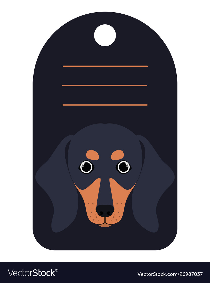 Hundekarte mit Platz zum Schreiben vector image Hundekarte mit Platz zum Schreiben