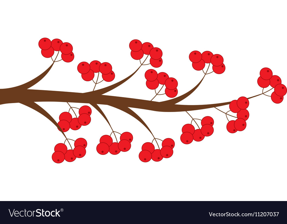 Tree branch