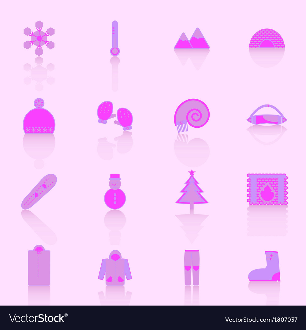 Winter icons with reflect on pink background