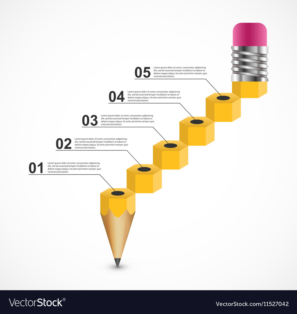 educational infographic as a diagram of the vector image