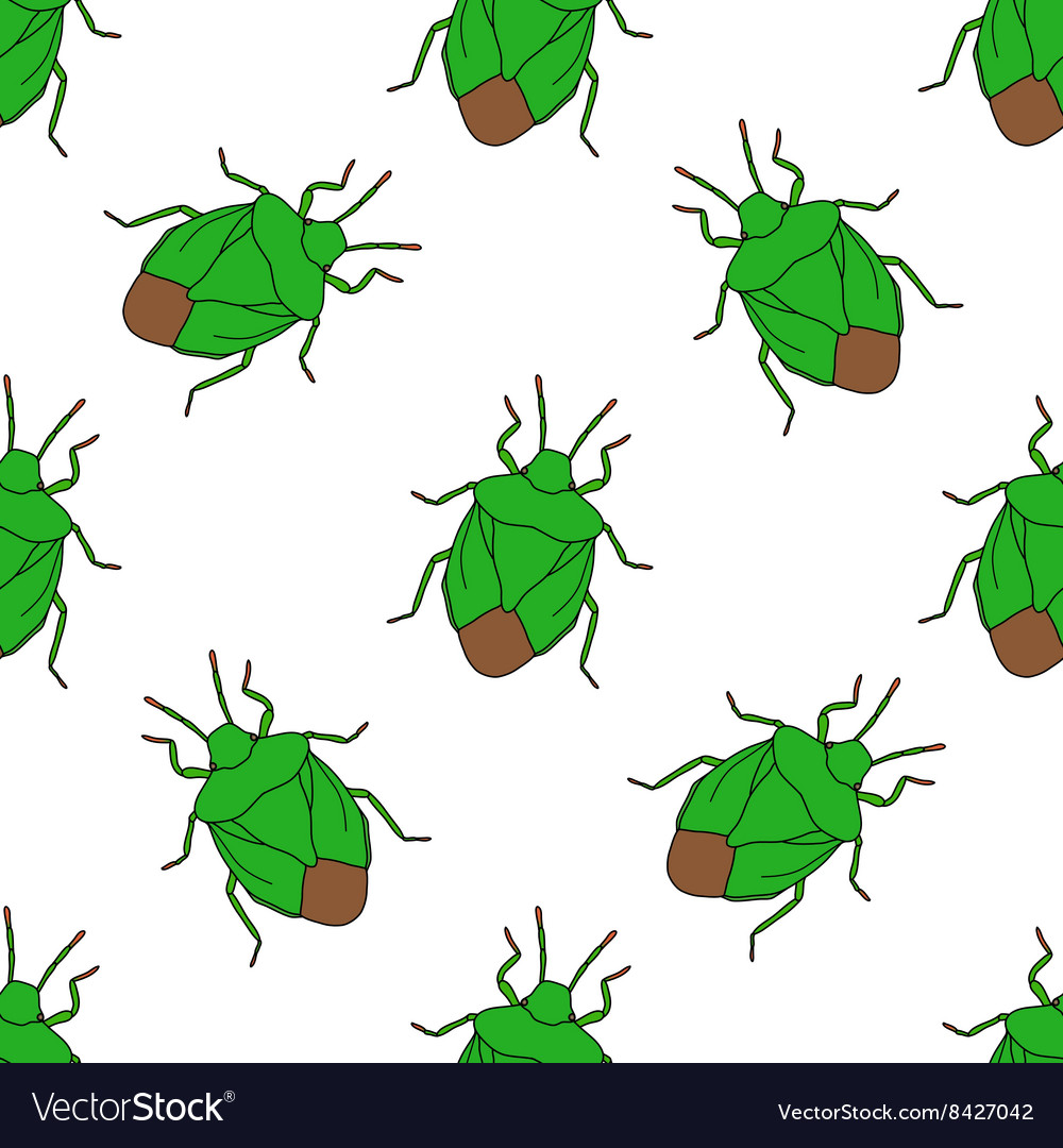 Seamless pattern with shield bug palomena prasina