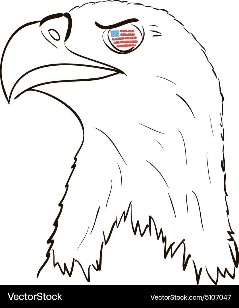 American Eagle Royalty Free Vector Image - VectorStock
