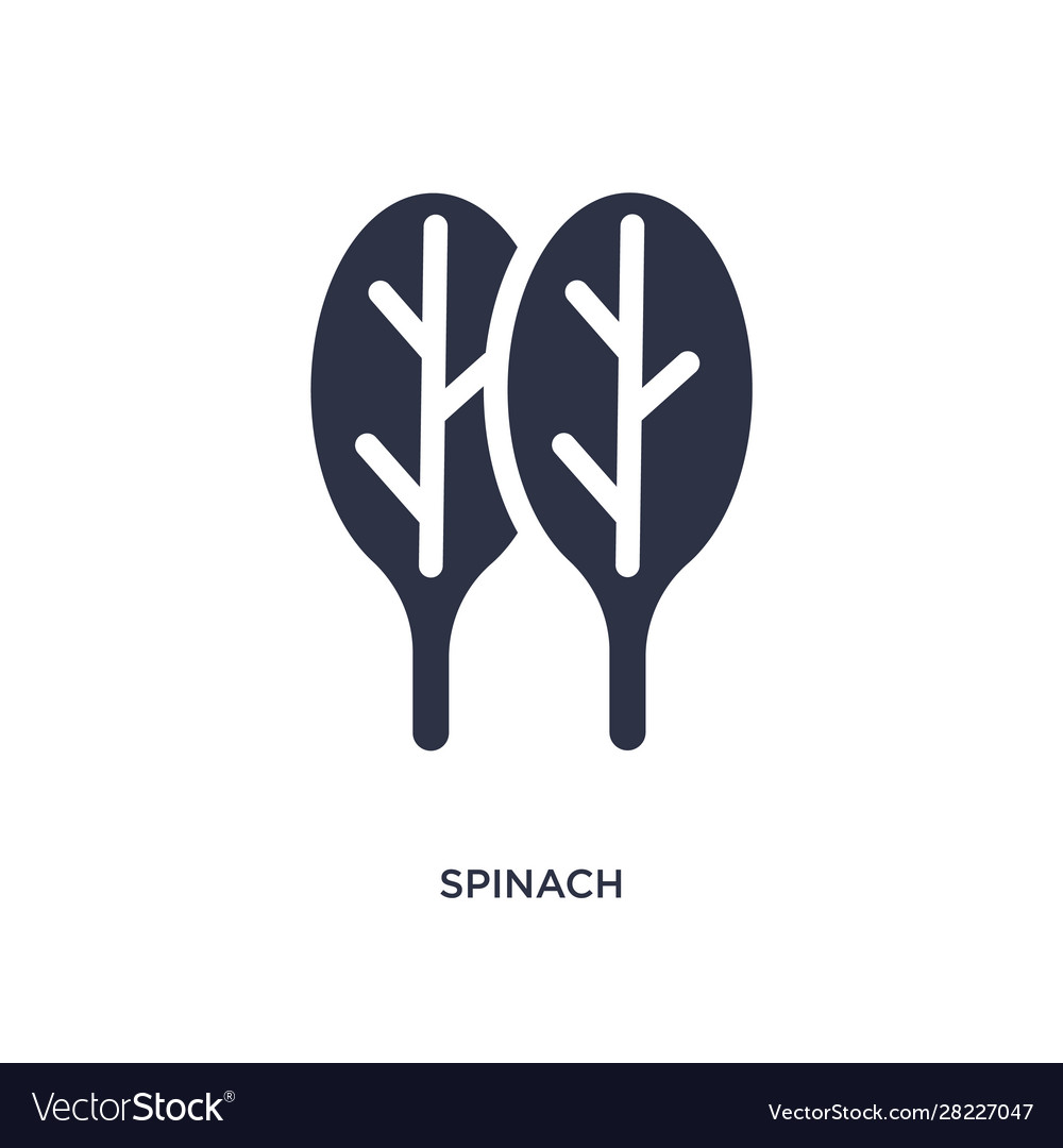 Spinach icon on white background simple element