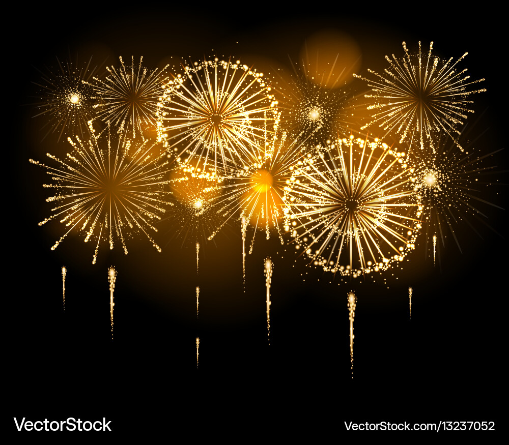 Holiday firework Royalty Free Vector Image - VectorStock