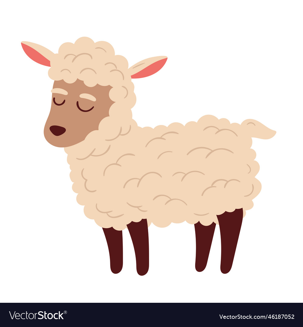 Sheep farm animal