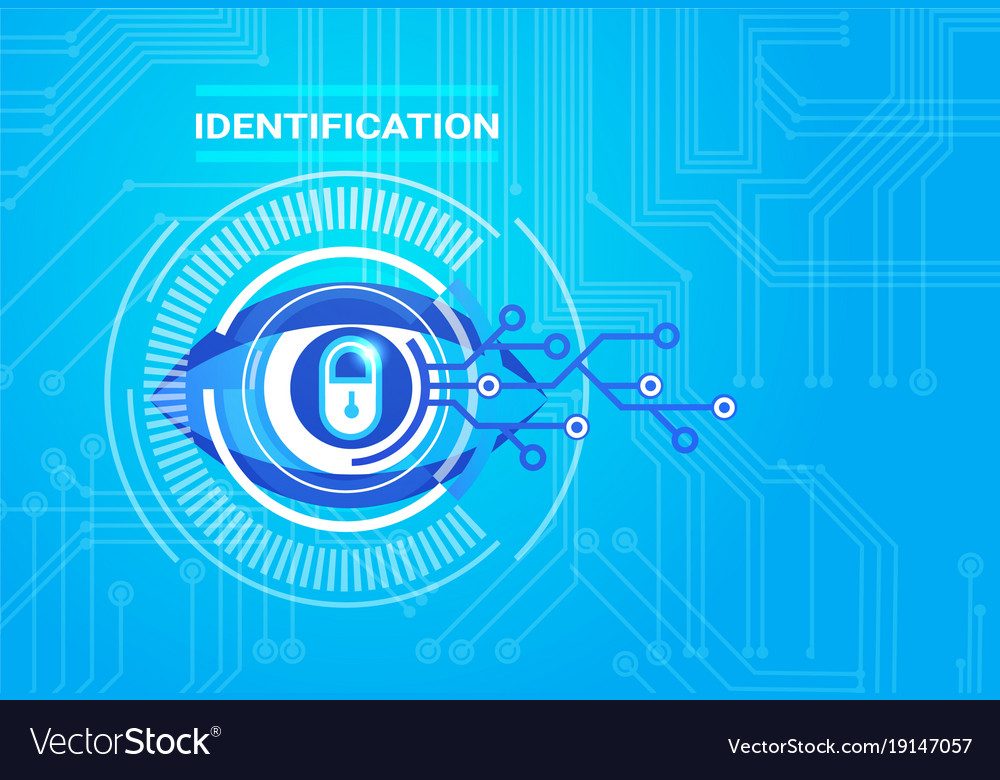 Identification system retina scanning access