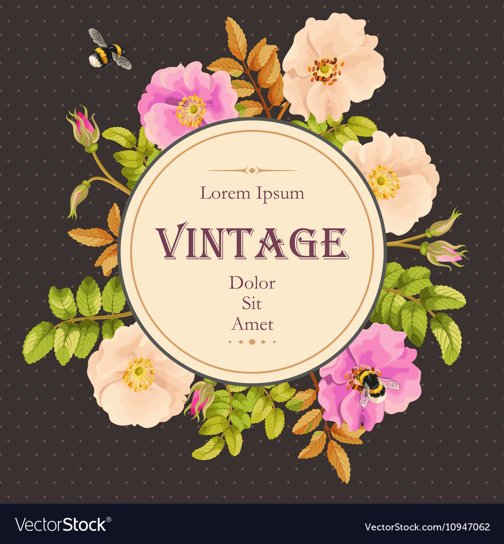 Card with sweet briar Royalty Free Vector Image