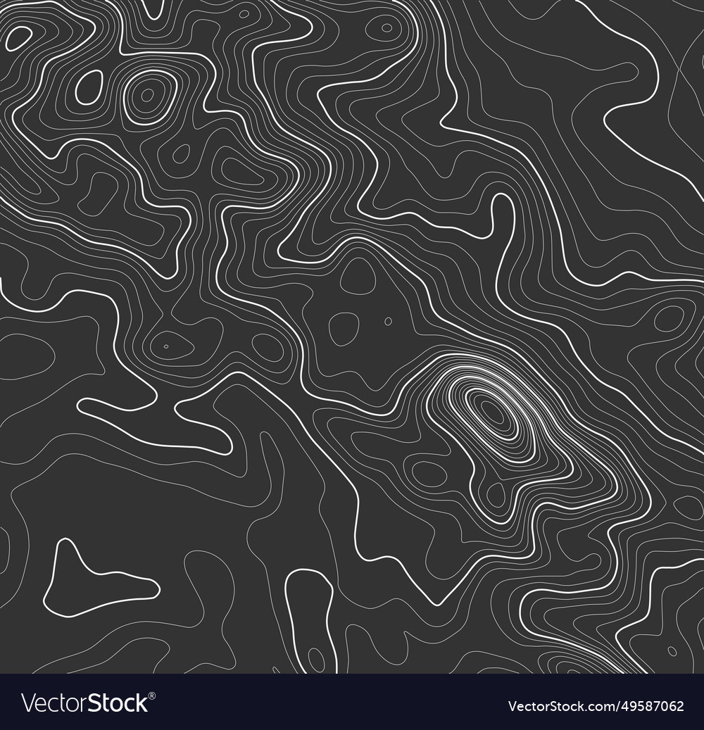 Grey contours topography mountain terrain Vector Image